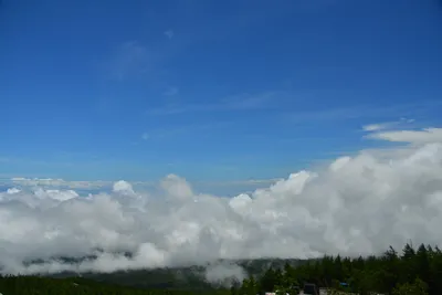 DSC_3634 (Large).JPG